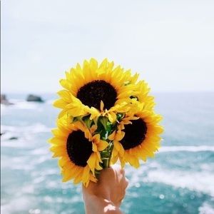 Meet your Posher, Payton